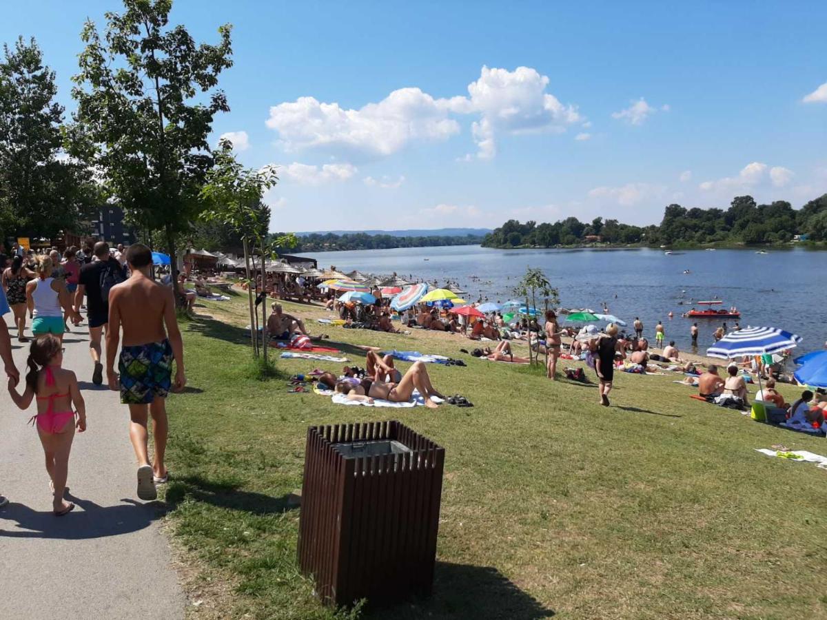 Apartmani K&V Veliko Gradište Dış mekan fotoğraf