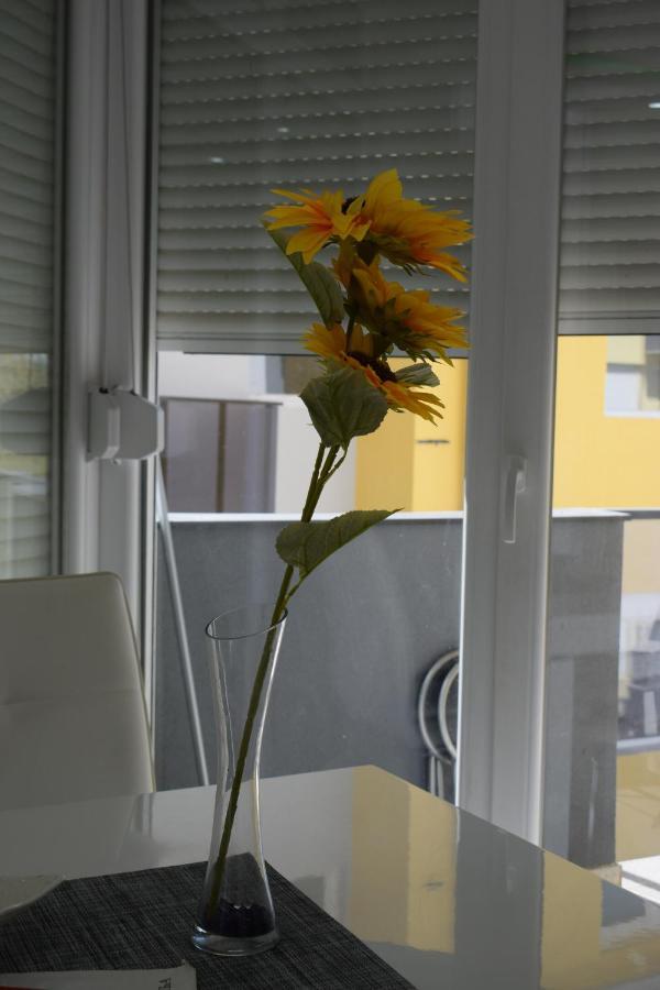 Apartmani K&V Veliko Gradište Dış mekan fotoğraf